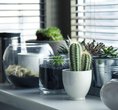 Interiormatters